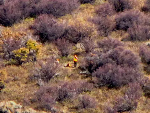 Hunters below the ridge