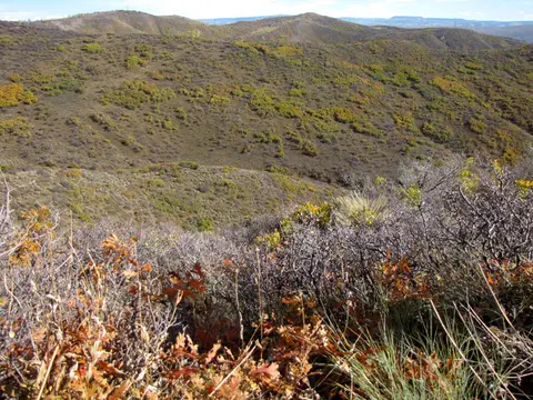 The country you'll be hunting on the Cherry Ranch