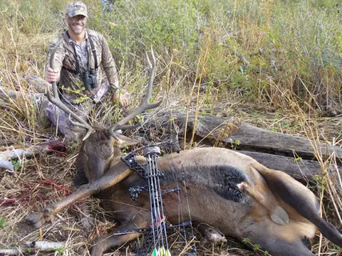 Bow hunter with a bull elk
