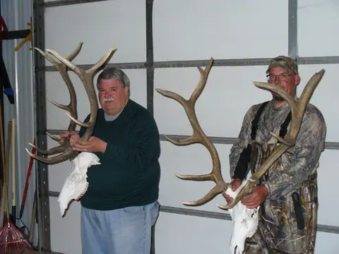 Two hunters showing elk antlers in the shop