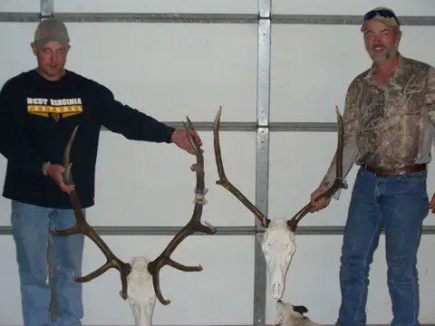 Two hunters showing elk antlers in the shop