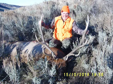 Hunter in blaze orange with a bull elk in the sagebrush
