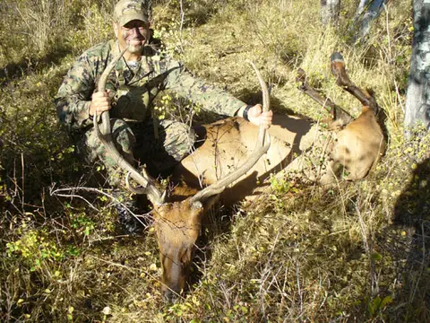 Hunter with a bull elk