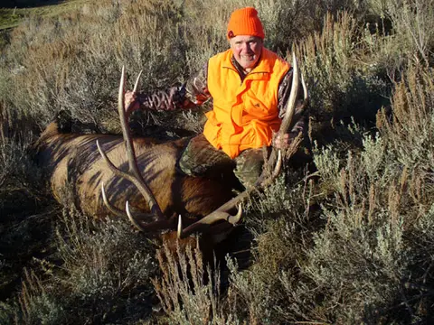 Hunter in blaze orange with a bull elk