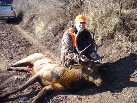 Hunter with a bull elk on a ranch road