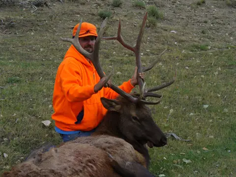 Hunter in blaze orange with a bull elk