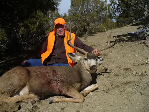 Hunter in blaze orange with a mule deer buck