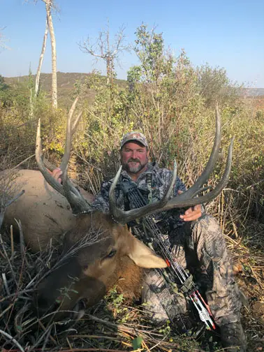 Bow hunter with a bull elk