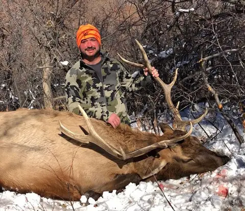 Hunter with a bull elk in the snow