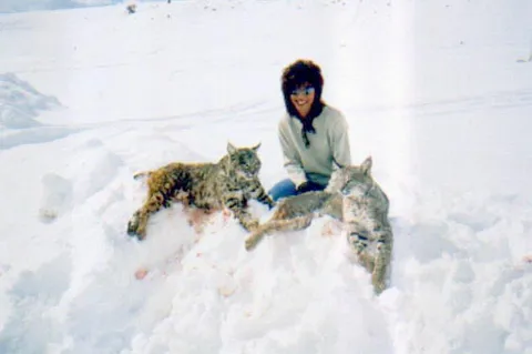Lori Cherry with 2 bobcats in 2004. - Bobcats are found on the Cherry Ranch