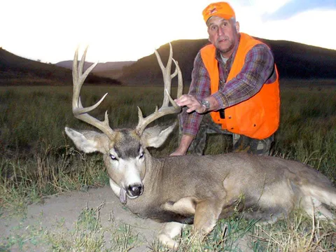 2nd season Dave Hastead Buck
