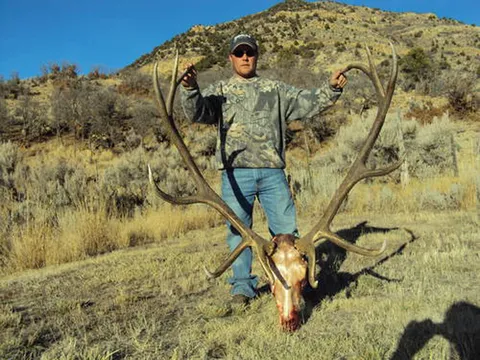 3rd season Scott Mart ND This bull scored 362