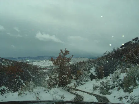 Cherry Ranch country