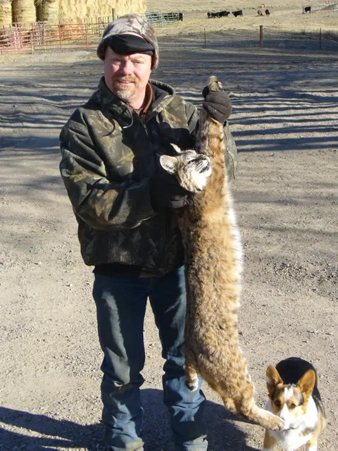 Bill's Bobcat with Cherry's dog, Lulu