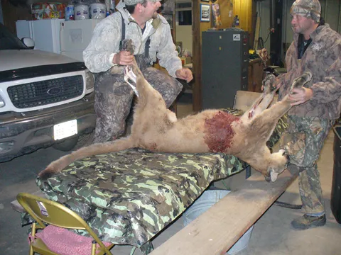 Bill Childers got a Mountain Lion