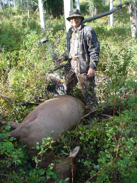 Jerry Brabant's Cow Elk