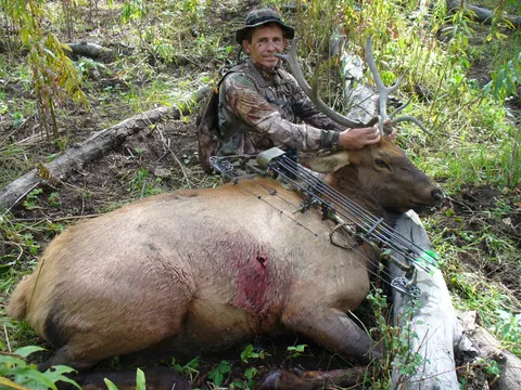 Steve Lamp got his bull in Archery Season
