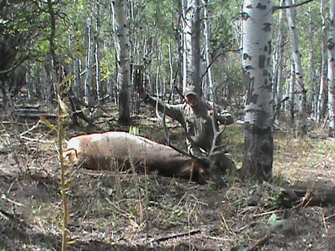 Curtis Cherry's 2012 Archery Bull