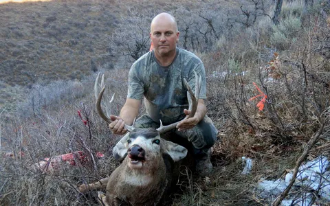 Ray Stuckey's Buck