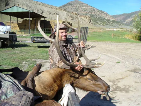 Dave Johnson from California - Nice Archery Bull