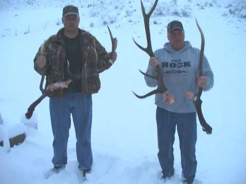 Archive bull: 06snowantlers