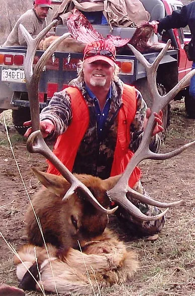 Archive bull: 6Point Bull
